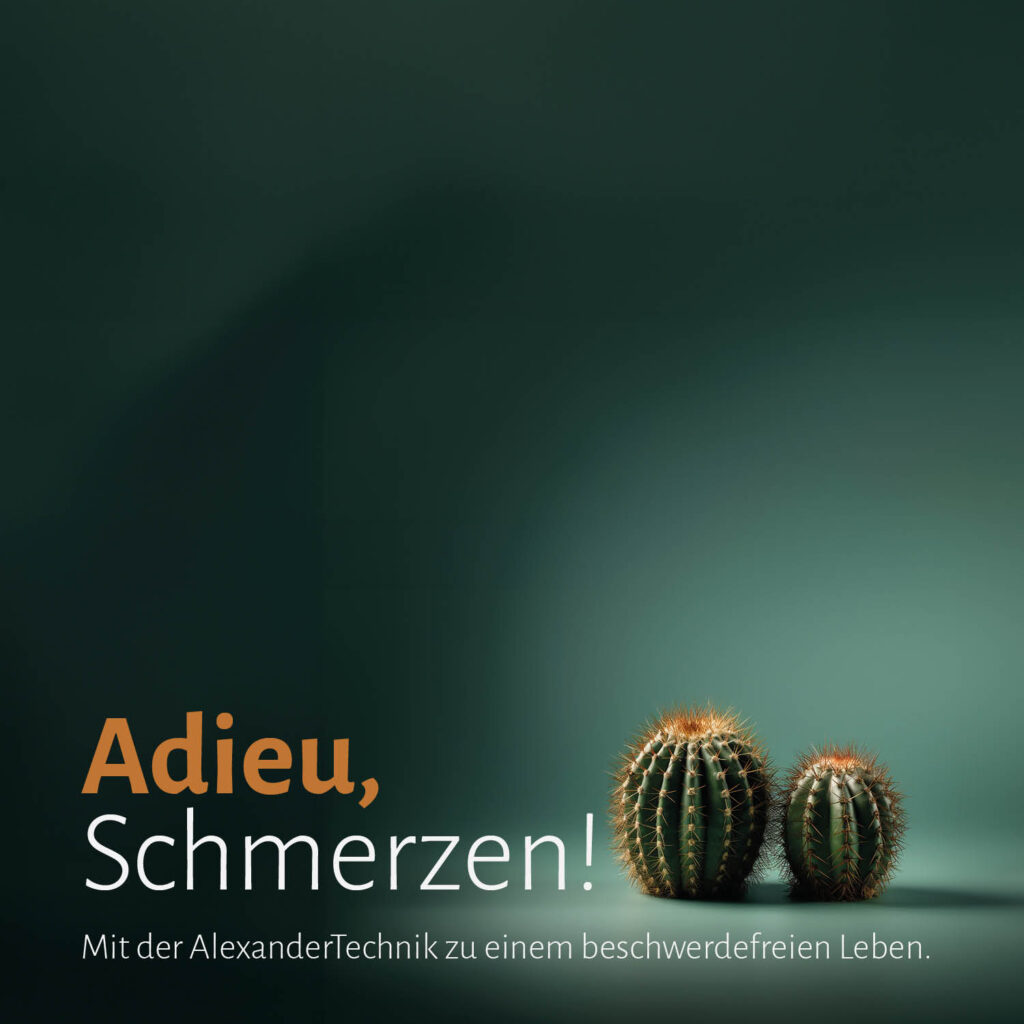 Mario Schenker | AlexanderTechnik in Baden | KomplementärTherapie bei Schmerzen