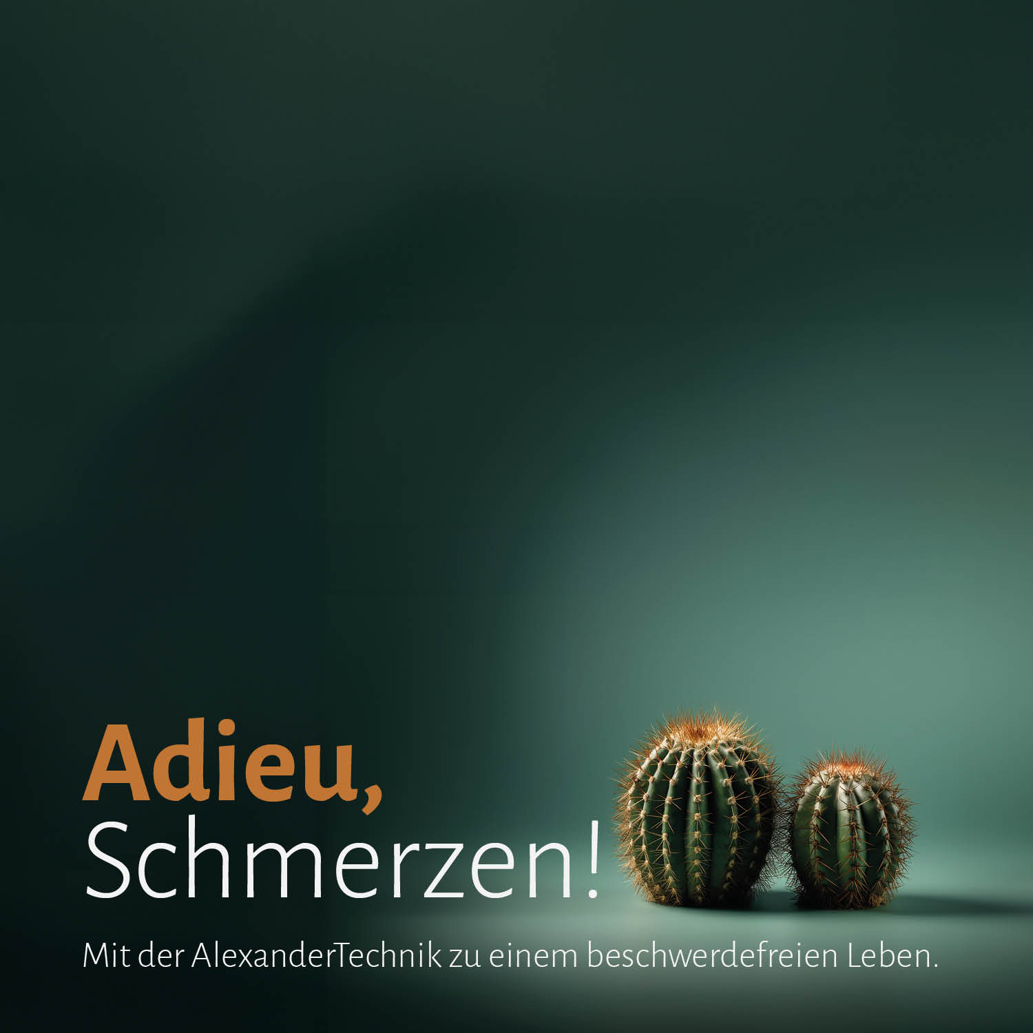 Mario Schenker | AlexanderTechnik | Baden